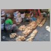 25-12-28---051- Pondichery.JPG